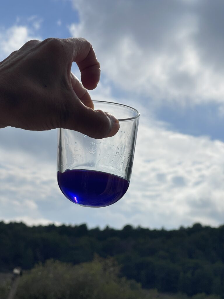 Phycocyanine produite à La Belle Auriole- Société Perform